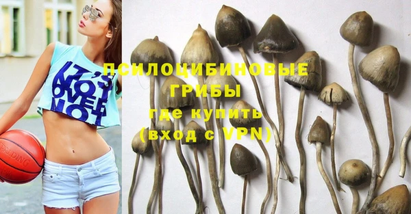 прущие крисы Семикаракорск